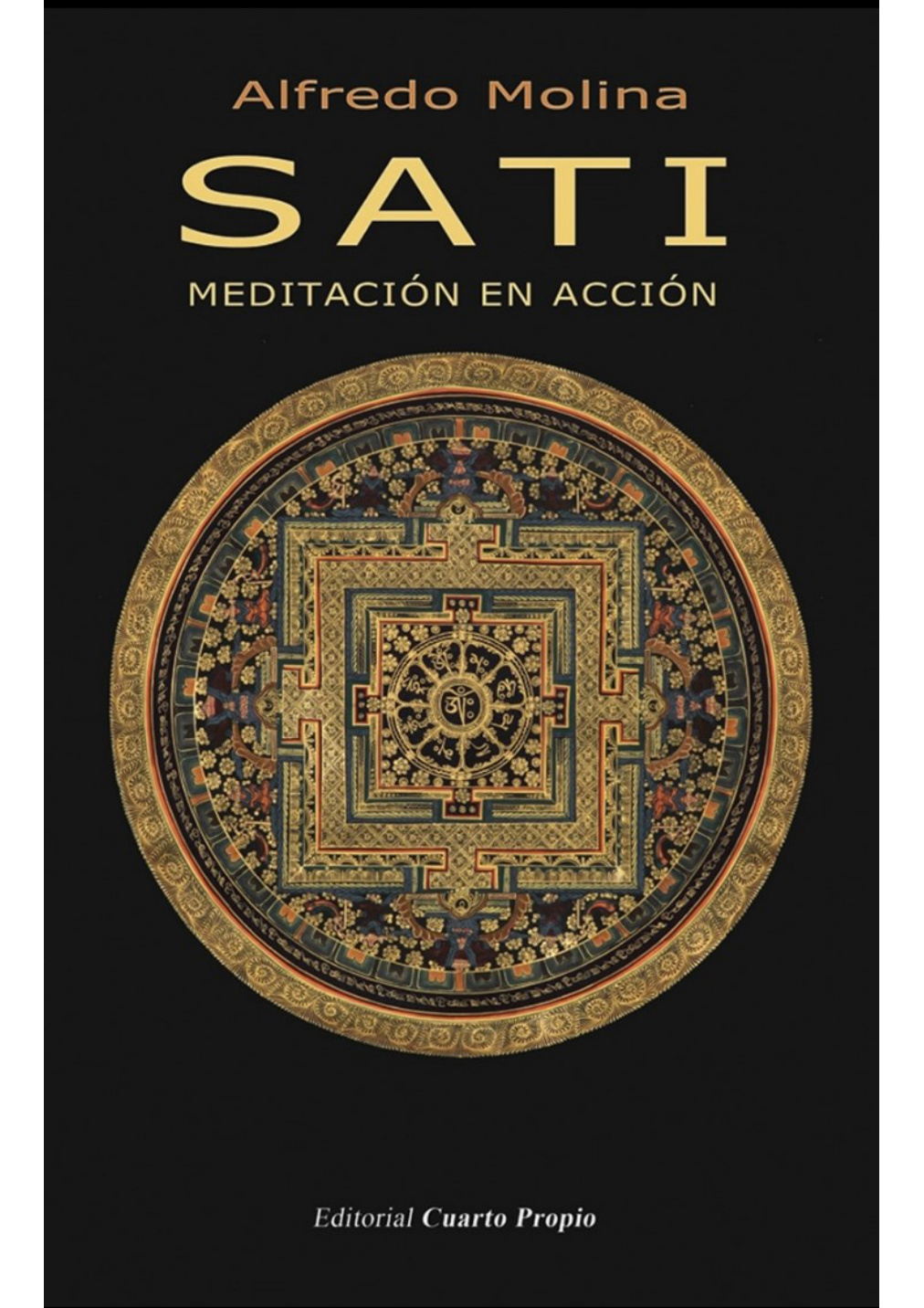 SATI, Meditación en Acción
